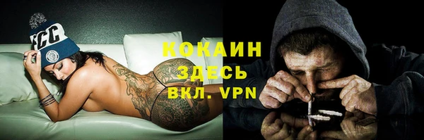 прущие крисы Белокуриха