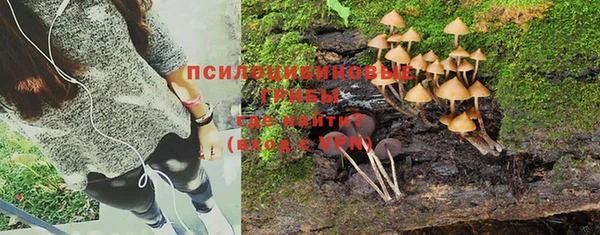 молекула духа Беломорск