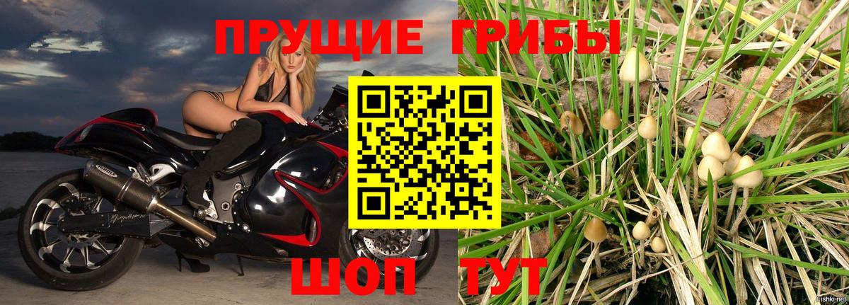 Псилоцибиновые грибы прущие грибы Губкинский