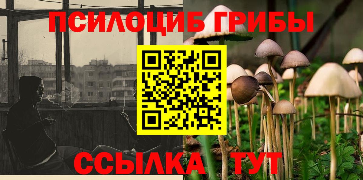 Галлюциногенные грибы Cubensis  Вход с VPN  закладки  Псилоцибиновые грибы Magic Shrooms  Губкинский 