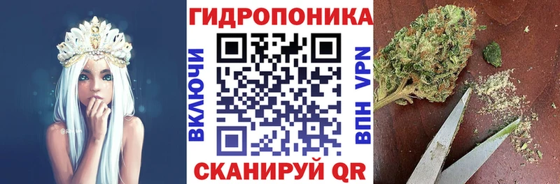 Шишки марихуана White Widow  Губкинский 